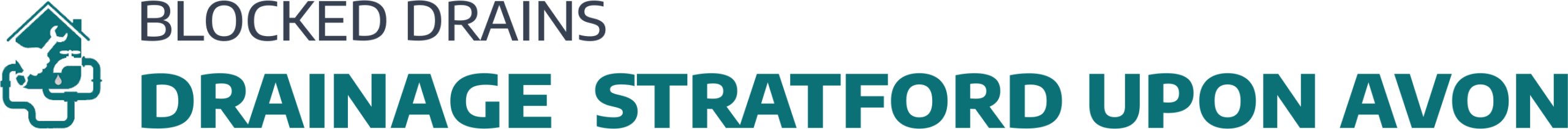 website logo
